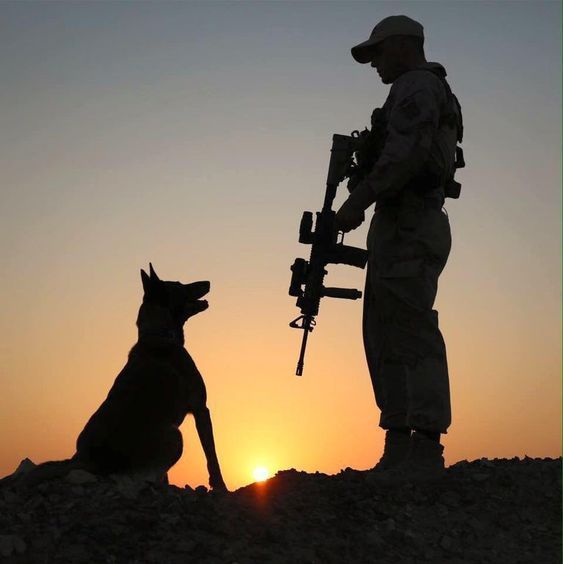canili stella rossa: cani militari